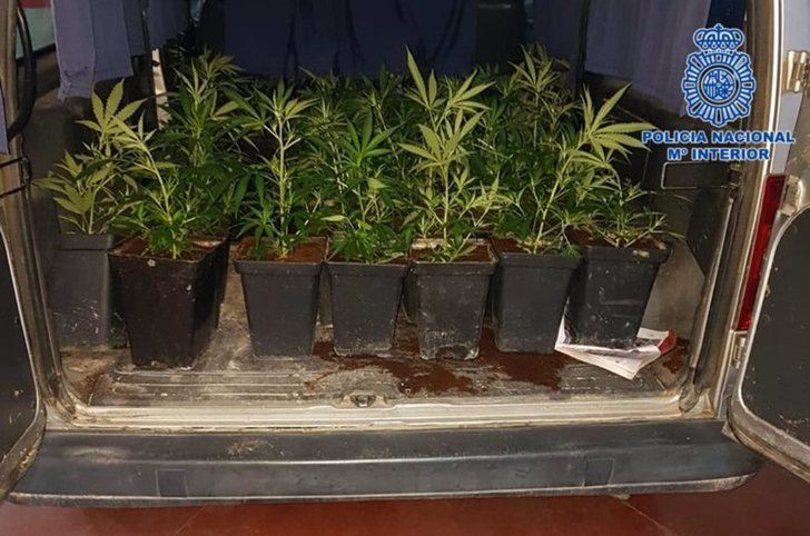6 personas detenidas en Toledo y Talavera tras ser sorprendidas transportando marihuana y cocaína