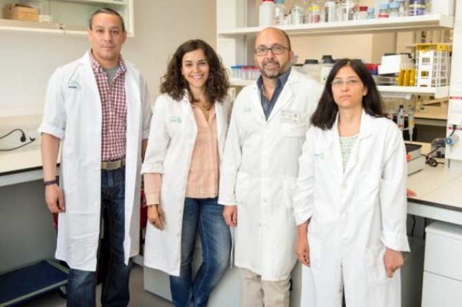 Científicos del hospital nacional de parapléjicos de Toledo descubren la primera molécula que inhibe la mielina