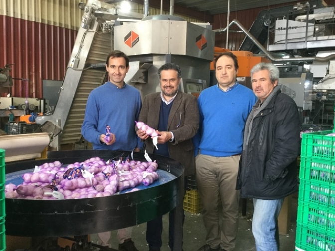 Albacete es la provincia “líder” en cuanto a superficie cultivada y producción de ajo