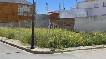 La Roda lanza campaña para la limpieza de solares municipales