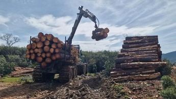 El Gobierno de Castilla-La Mancha fomenta la gestión forestal con nuevas mancomunidades