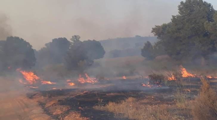 Todas las imágenes son del incendio de El Bonillo de este domingo.