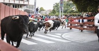 Dos heridos por asta de toro en el último encierro de Ferias de Guadalajara