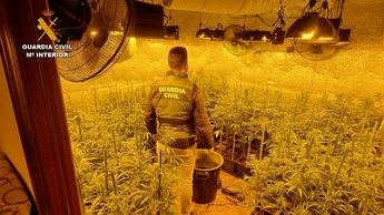 Desarticulado en Barajas de Melo (Cuenca) un grupo criminal dedicado al cultivo y la elaboración de estupefacientes