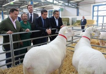 Expovicaman abre sus puertas en Albacete con 64 expositores y altas expectativas