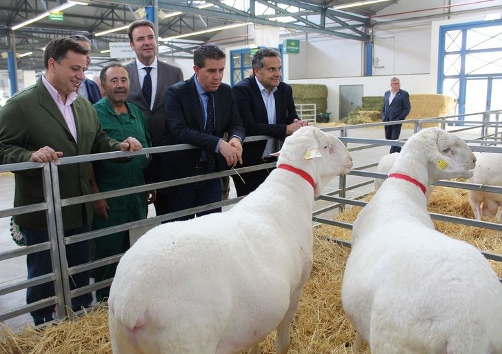 Expovicaman abre sus puertas en Albacete con 64 expositores y altas expectativas
