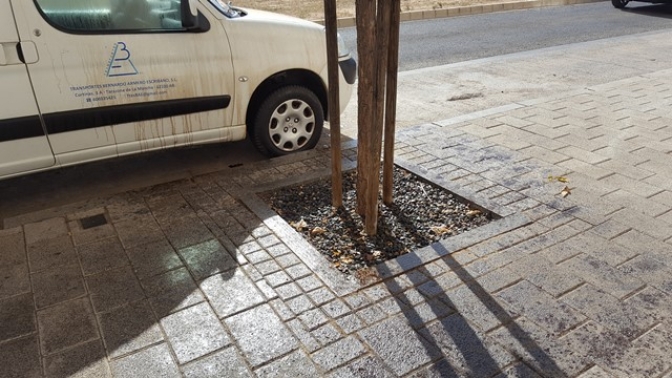 El PSOE de Albacete pide que cambien los árboles de Imaginalia porque ensucian las aceras y los coches