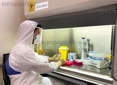El brote de Socuéllamos (Ciudad Real) alcanza los 41 casos positivos con PCR