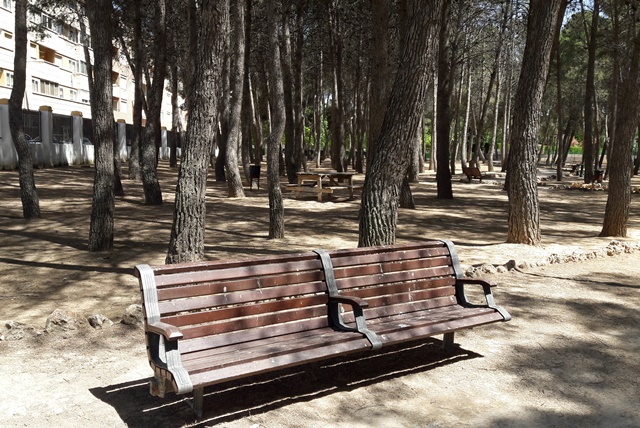 El Ayuntamiento de Albacete intentará controlar la sobrepoblación de palomas en la ciudad