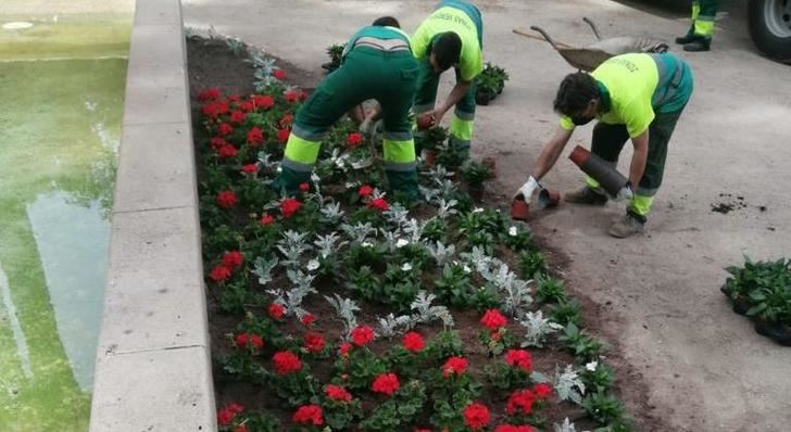 Comienza en Albacete la plantación de más de 123.000 plantas de verano en jardines, medianas y fuentes