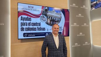 La Diputación de Albacete destina 150.000 euros para la gestión de colonias felinas en 2025