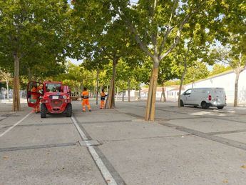 El Ayuntamiento inicia obras de mejora en los Ejidos de la Feria con una inversión de 5 millones de euros