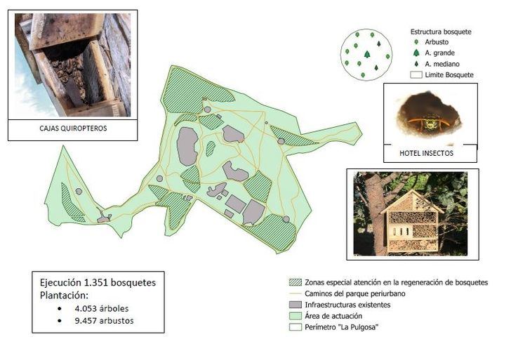 Albacete lanza un ambicioso plan ambiental para La Pulgosa, con una inversión de 2.6 millones de euros