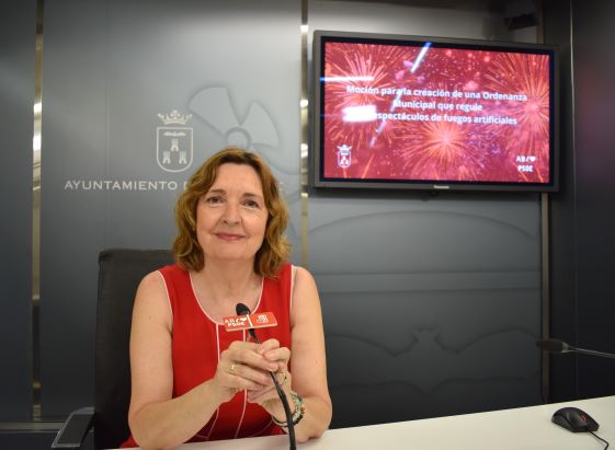 El PSOE propone regular los fuegos artificiales en el Pleno Municipal del 31 de julio