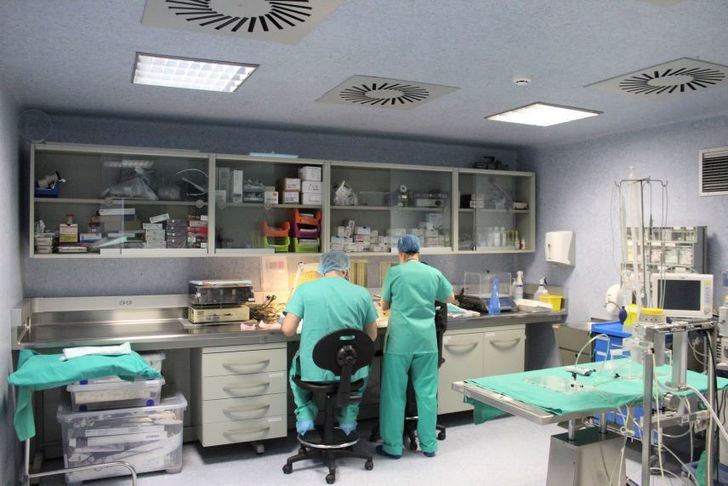 Se Inaugura el Periodo de Entrega de Trabajos para los XXV Premios de Investigación de la GAI de Albacete
