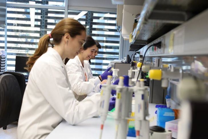 Identifican cinco microARN como marcadores de pronóstico en pacientes con ictus isquémico