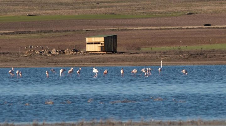 Castilla-La Mancha celebra el Día Mundial de los Humedales con actividades gratuitas para todos los públicos