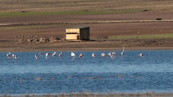 Castilla-La Mancha celebra el Día Mundial de los Humedales con actividades gratuitas para todos los públicos