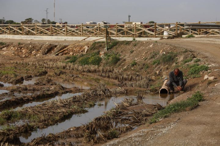 Agricultura destina 49.6 millones de euros en ayudas a agricultores y ganaderos afectados por la dana