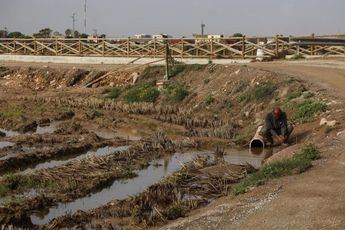 Agricultura destina 49.6 millones de euros en ayudas a agricultores y ganaderos afectados por la dana