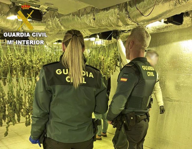 Detenidos cuatro hombres en Barajas de Melo por cultivo ilegal de cannabis y fraude eléctrico