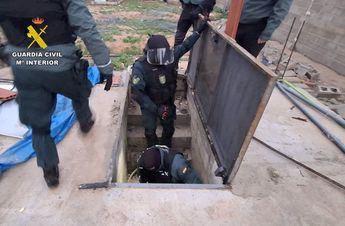 Desmantelan tres plantaciones de cannabis en Albacete: cinco detenidos por tráfico de drogas y defraudación eléctrica