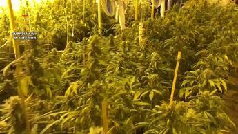 Detenido un hombre de 60 años en La Roda por tráfico de drogas y defraudación eléctrica