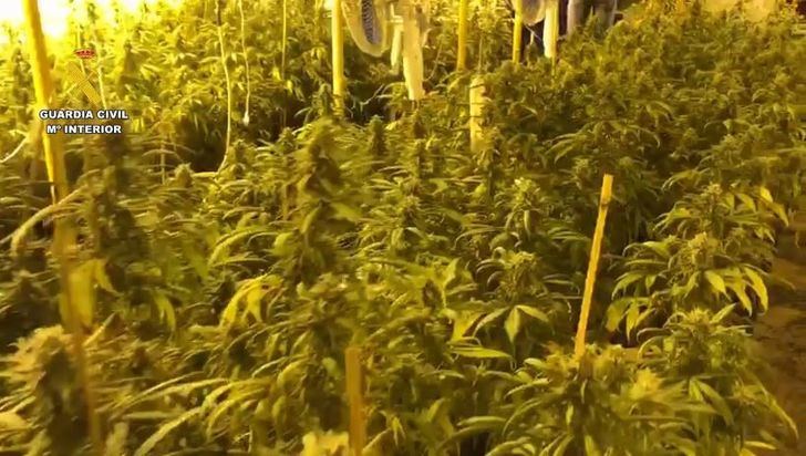 Detenido un hombre de 60 años en La Roda por tráfico de drogas y defraudación eléctrica