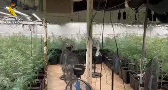 Desmantelan plantación de marihuana indoor en Novés, Toledo: dos detenidos