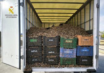 Detenidos dos hombres en Albacete por el robo cinco toneladas de almendra valoradas en 9.000 euros