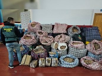 Detenidos por enviar amapola adormidera a España y EE.UU. tras robos en Albacete