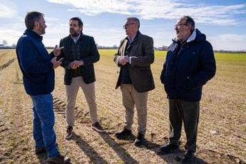 Núñez respalda la denuncia de Asaja por la plaga de conejos en Castilla-La Mancha