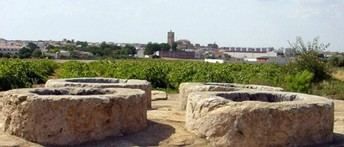El Toboso será sede del Encuentro de la Asociación Ruta del Vino de La Mancha