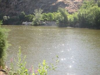 Cátedra del Tajo denuncia falta de avances en la recuperación del río por desinterés político