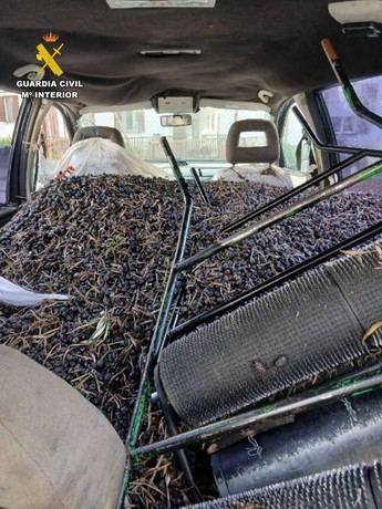 Tres detenidos por robar 810 kg de aceitunas en Val de Santo Domingo