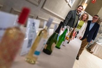 Paco Núñez solicita al PSOE respaldo para reducir los precios de combustibles y electricidad