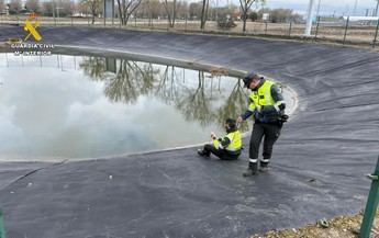 Rescatan a un hombre y sus dos perros de una alberca en Toledo