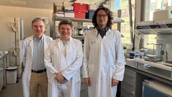 Investigadores de Albacete crean técnica para diagnosticar el síndrome de Satoyoshi