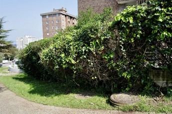 J.V., detenido extrabajador de la cantera del Albacete por la muerte de un aficionado en Santander