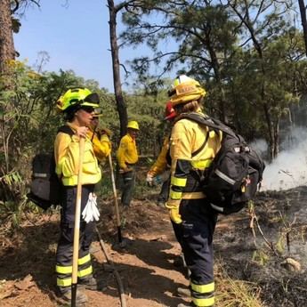 Treinta mujeres de todo el mundo se capacitarán en prevención de incendios en Castilla-La Mancha