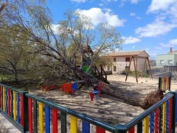 El viento derriba árbol en parque infantil de Castilforte, sin heridos