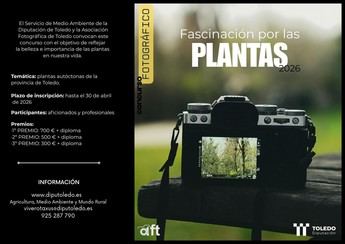 Convocan concurso de fotografía en Toledo con premios de hasta 700 euros