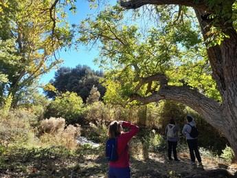 Castilla-La Mancha lanza 'Vive Tu Espacio' con más de 40 actividades gratuitas en la naturaleza