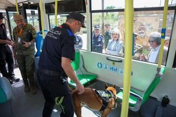 Toledo acoge las I Jornadas de Guías Caninos con 39 equipos de toda España