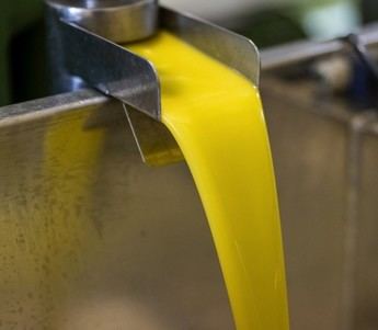 Castilla-La Mancha produce 138.291 toneladas de aceite de oliva en la última campaña
