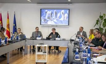 Ecologistas en Acción critica el Plan del Conejo de Castilla-La Mancha por sus posibles impactos ambientales