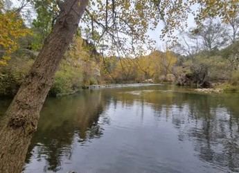 Abren convocatoria para el Premio Regional de Medio Ambiente en Castilla-La Mancha