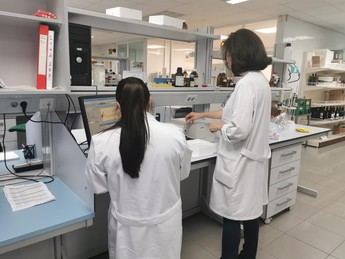 El desempleo en Castilla-La Mancha disminuye a 117.137 personas en abril
