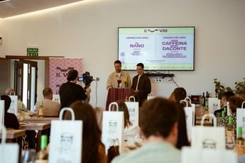Daimiel se alista para el Vid Festival con música y gastronomía local
