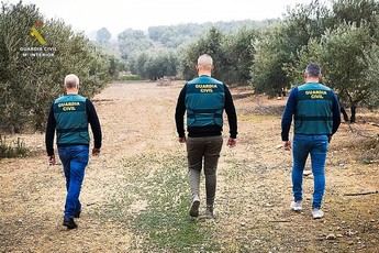 Detenido por poseer casi 20 armas en Toledo y Madrid